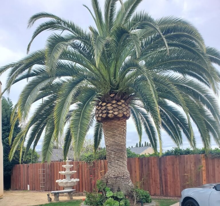 Soccer Field image 3