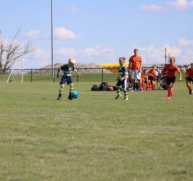 Soccer Field image 2