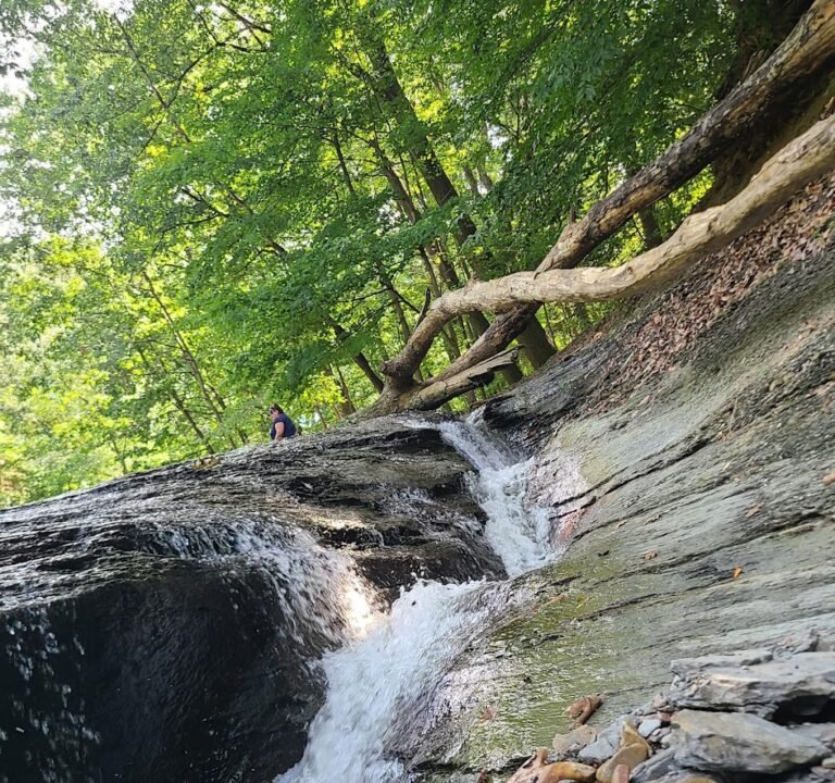 Soccer Field image 2