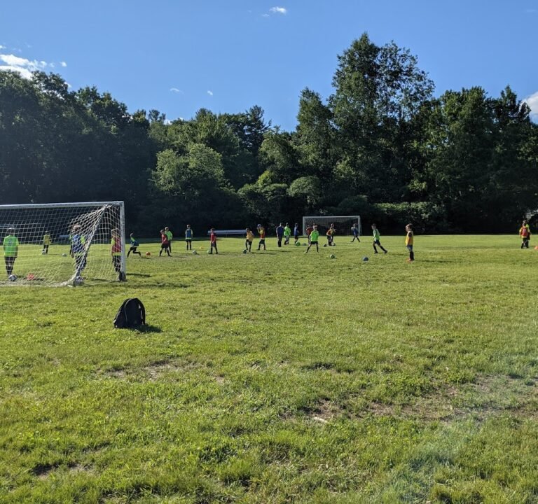 Soccer Field image 2