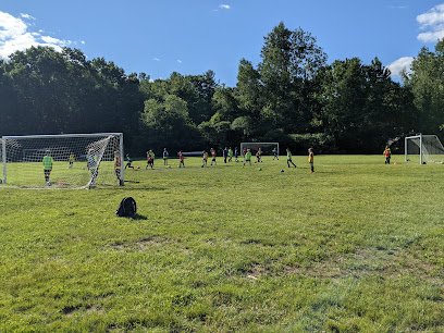 Soccer Field image 1