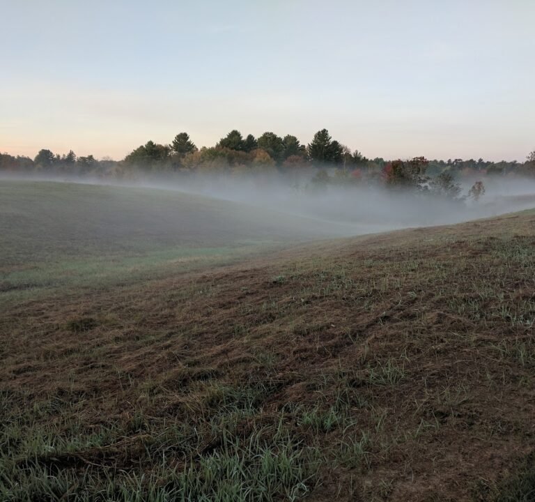 Soccer Field image 2