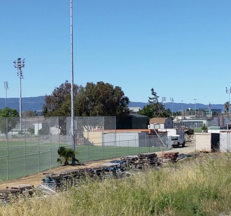 Soccer Field image 4