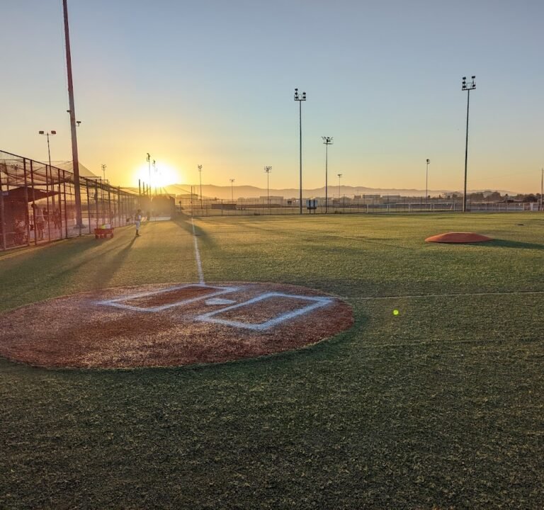 Soccer Field image 2