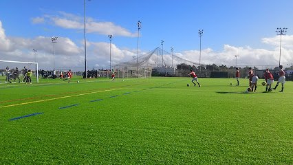Soccer Field image 1