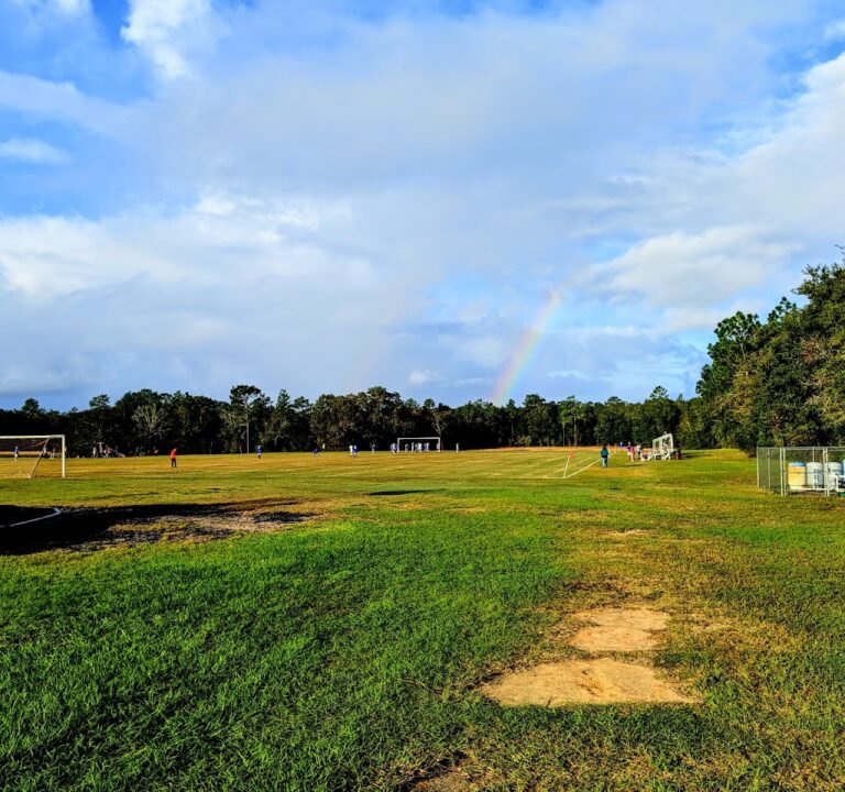 Soccer Field image 2