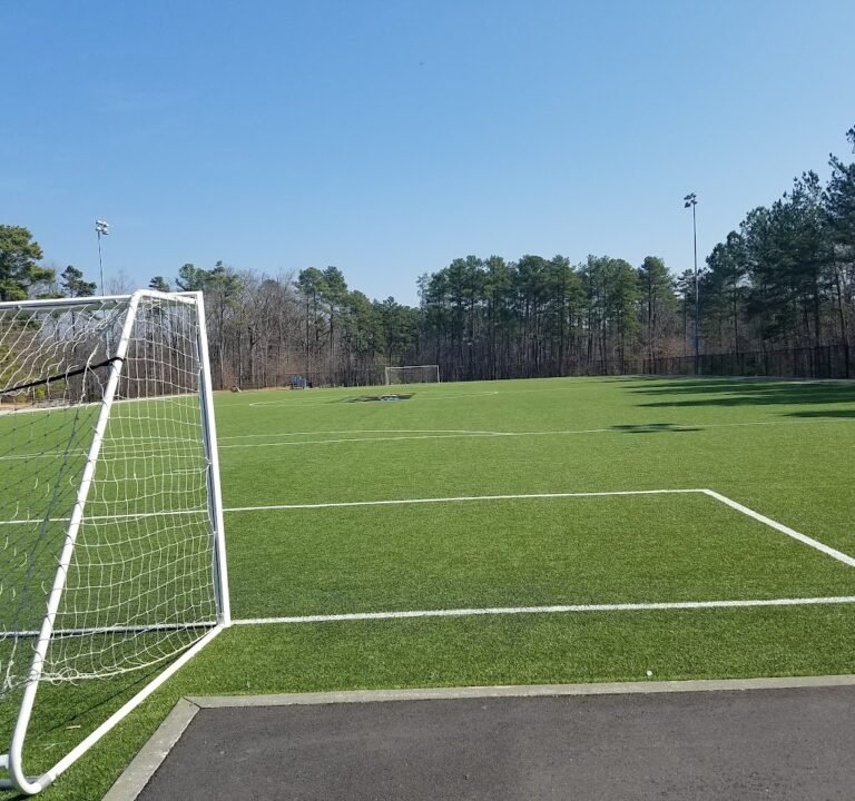 Soccer Field image 2