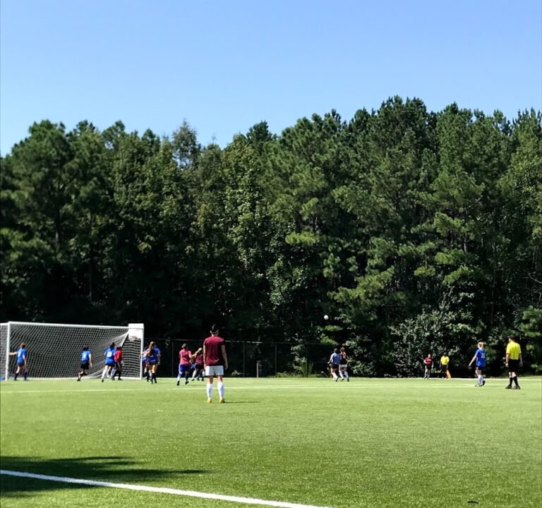 Soccer Field image 2