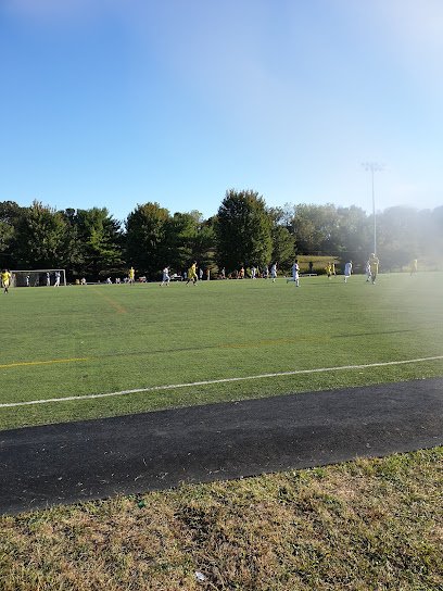 Soccer Field image 1