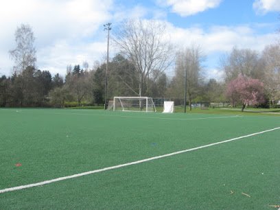 Soccer Field image 1