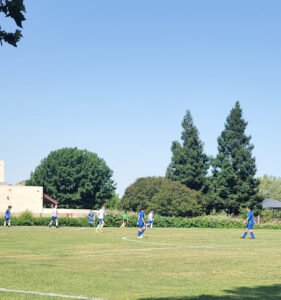 Soccer Field image 1