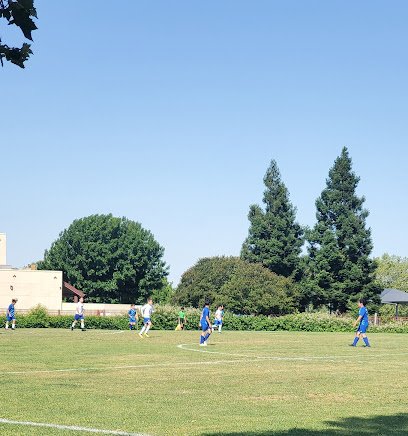 Soccer Field image 1