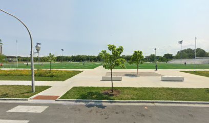 Soccer Field image 1