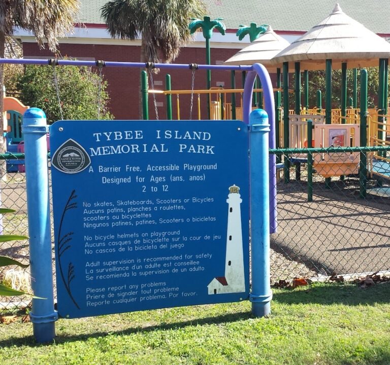 Soccer Field image 2