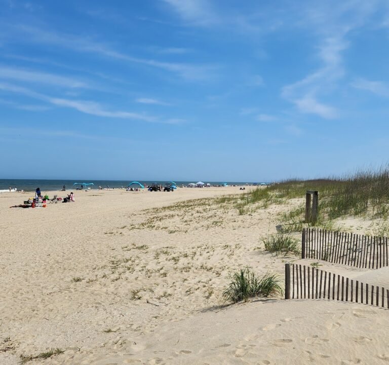 Soccer Field image 3