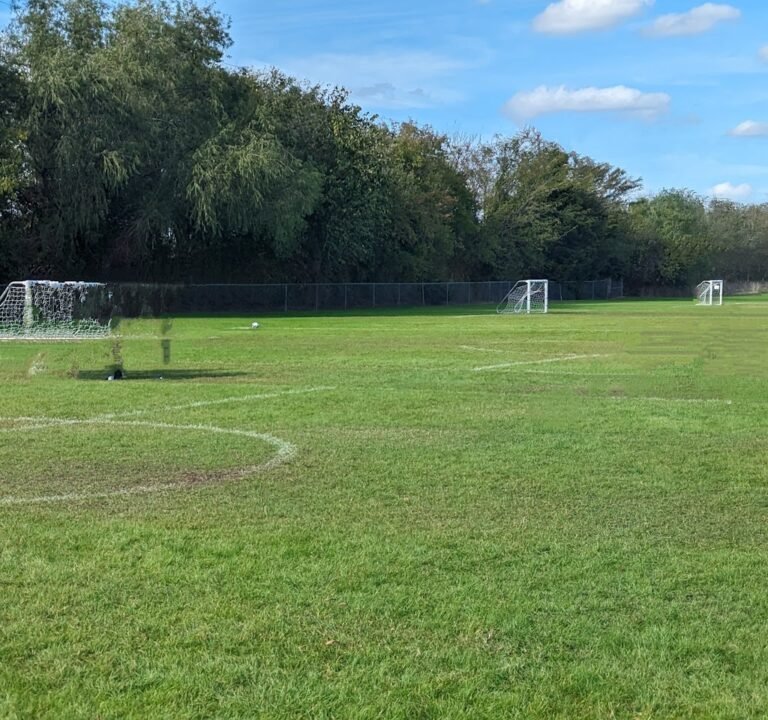 Soccer Field image 2