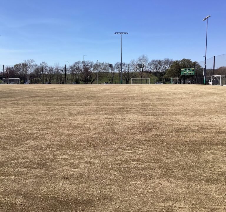 Soccer Field image 3