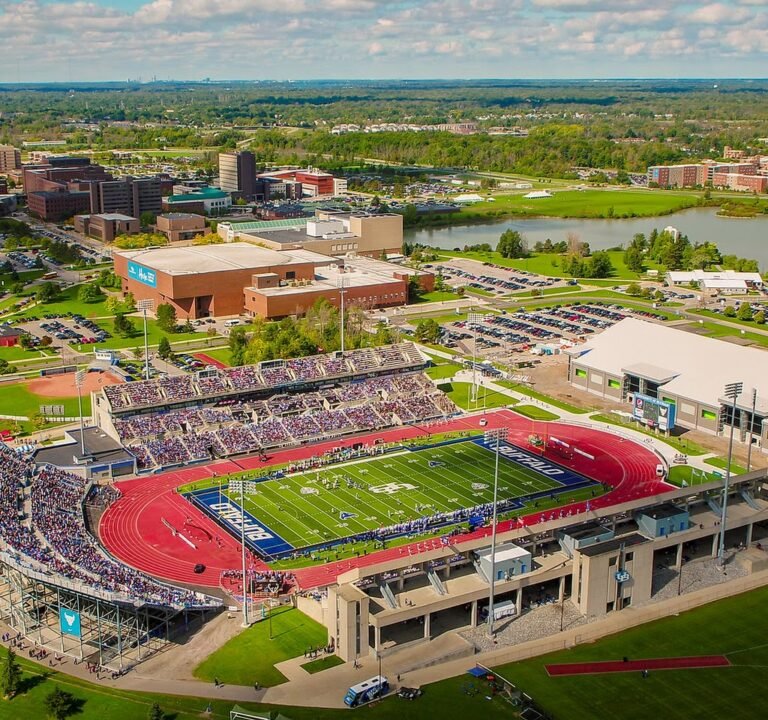 Soccer Field image 2