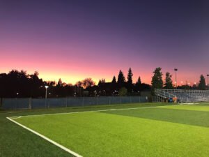 Soccer Field image 1
