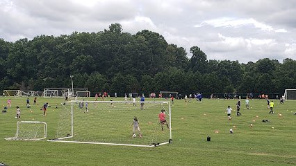 Soccer Field image 1