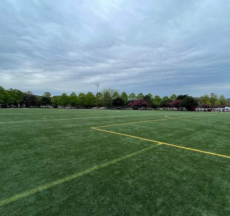 Soccer Field image 2