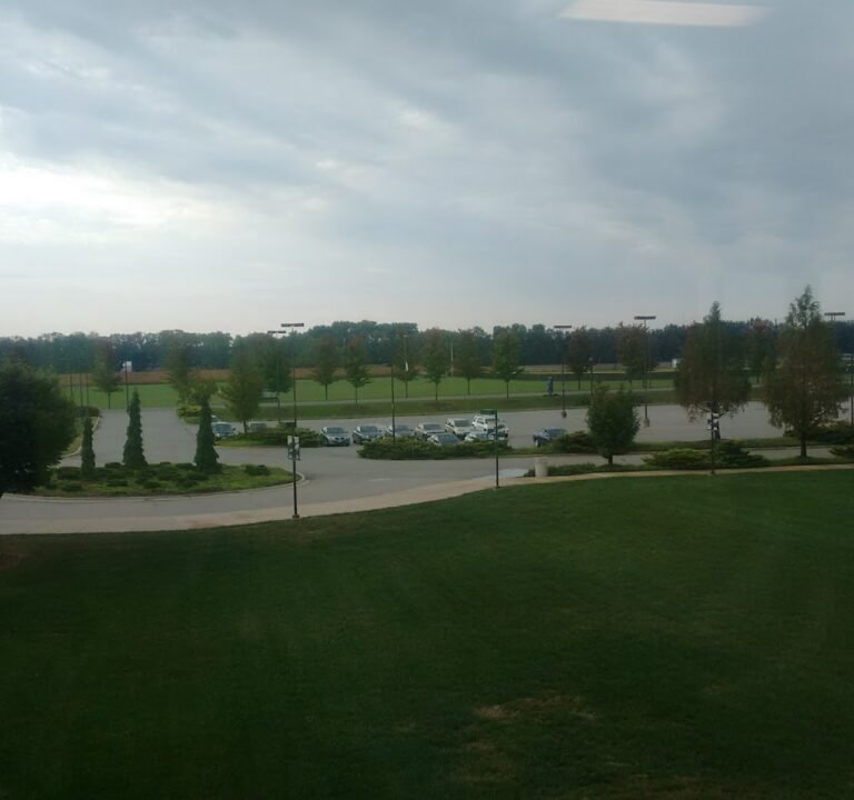 Soccer Field image 2