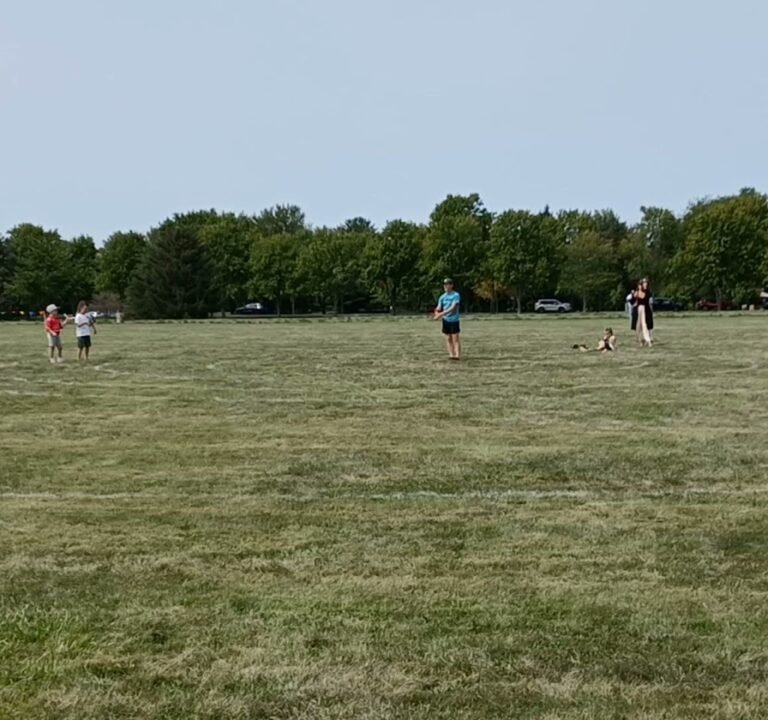 Soccer Field image 2