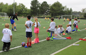 Soccer Field image 1
