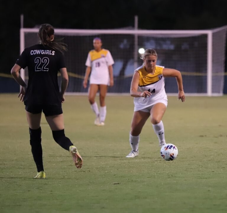 Soccer Field image 3