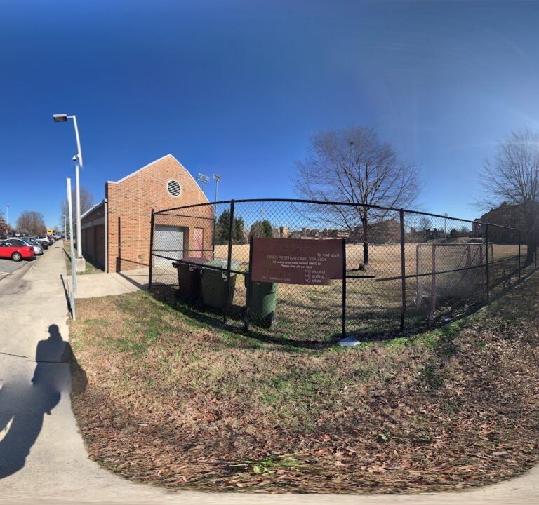 Soccer Field image 3