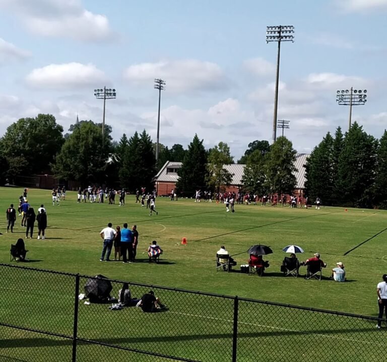 Soccer Field image 2