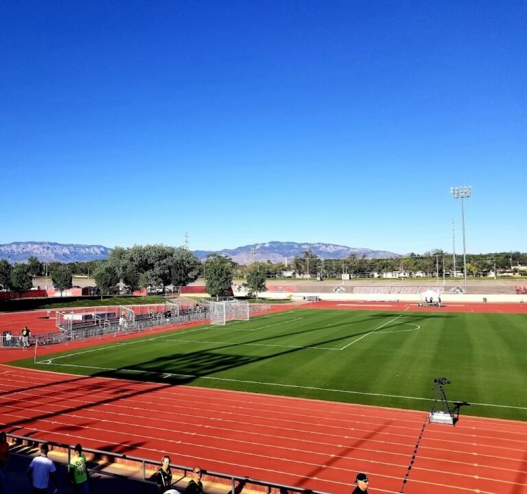 Soccer Field image 2