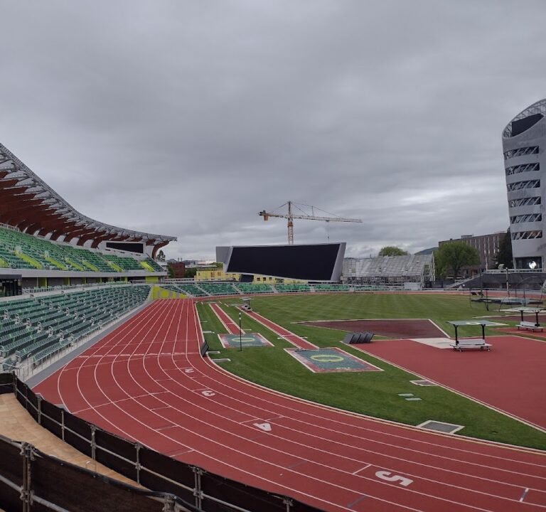 Soccer Field image 2