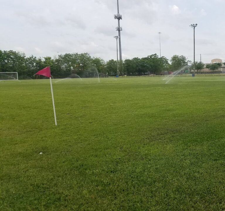 Soccer Field image 2