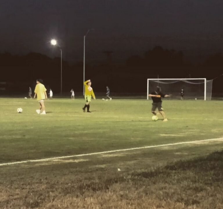 Soccer Field image 2