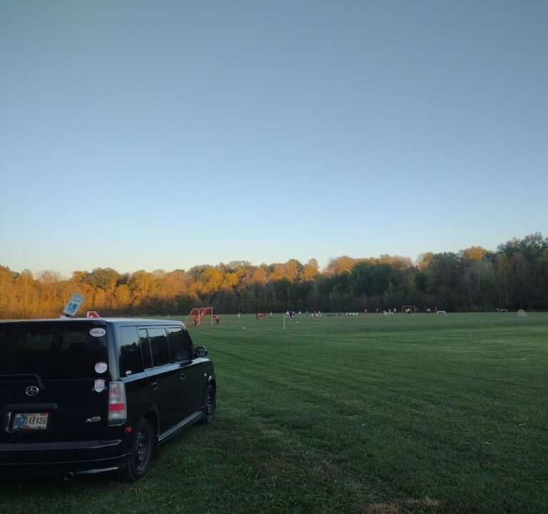 Soccer Field image 2