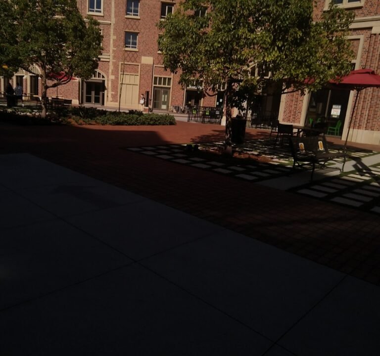 Soccer Field image 2