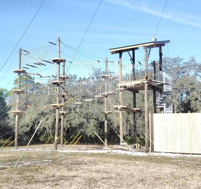 Soccer Field image 2