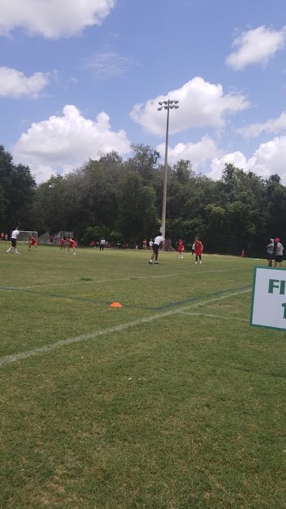 Soccer Field image 1