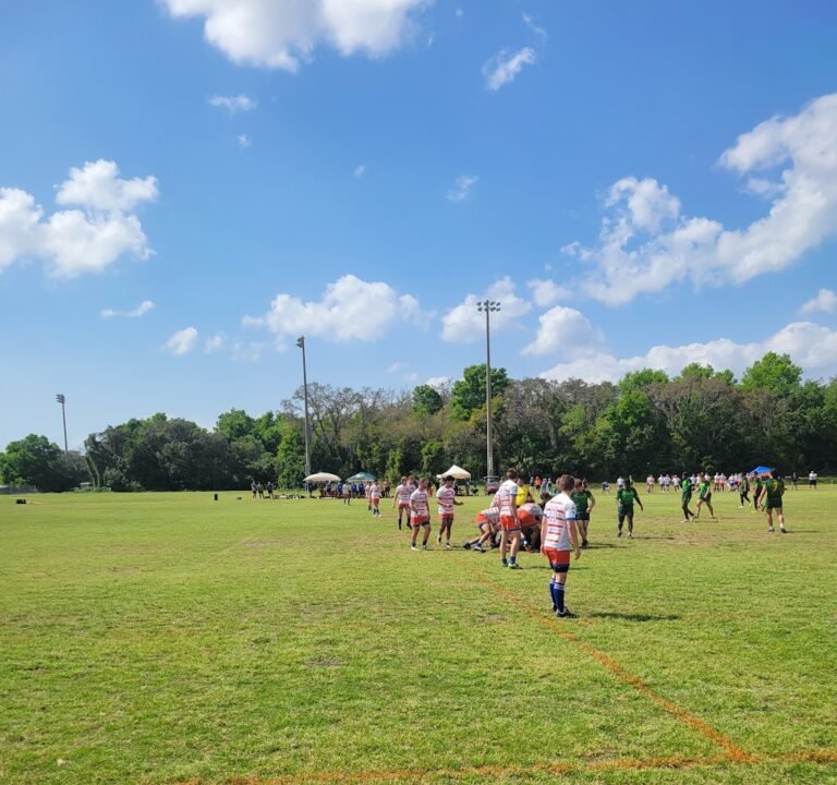 Soccer Field image 2