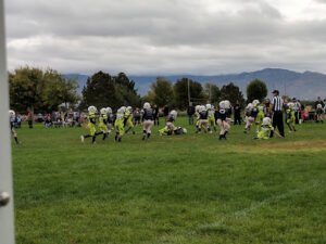 Soccer Field image 1