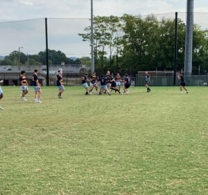 Soccer Field image 3