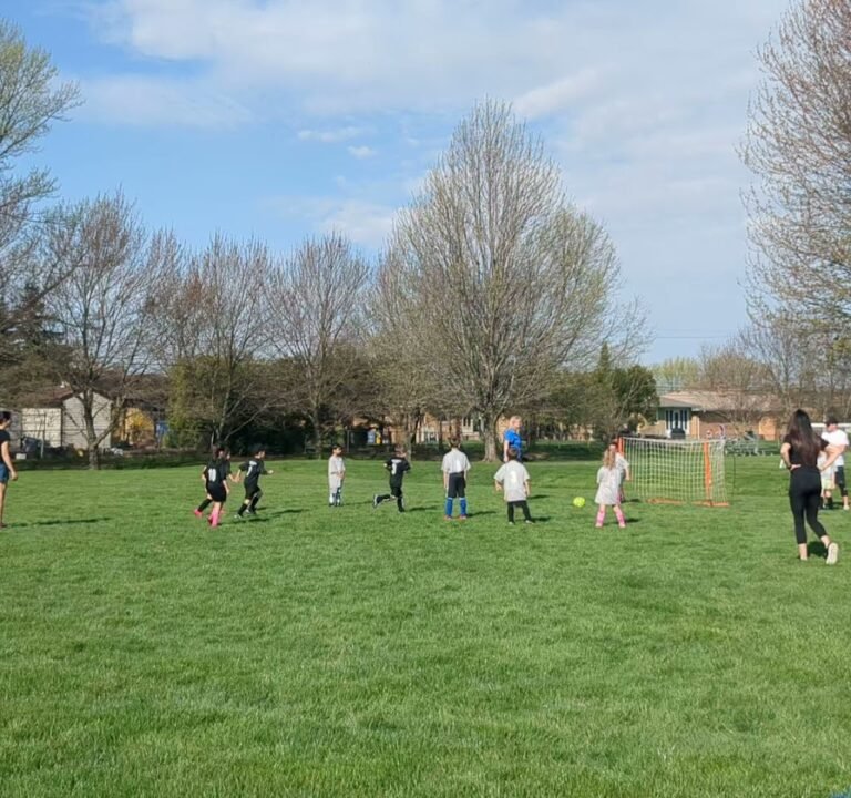 Soccer Field image 2