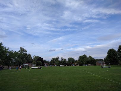 Soccer Field image 1