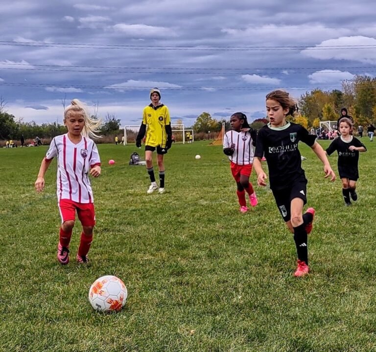 Soccer Field image 3