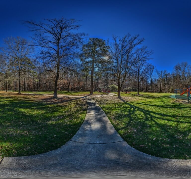 Soccer Field image 3