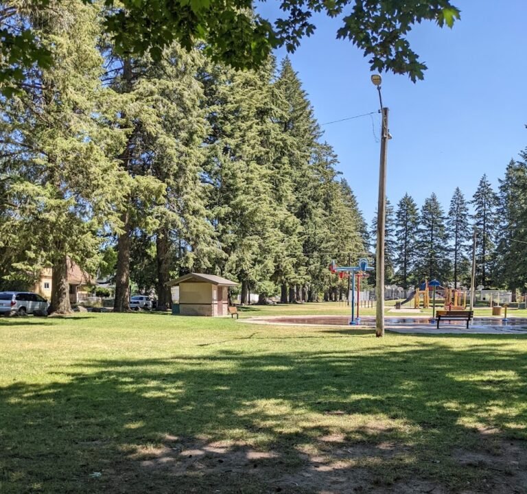 Soccer Field image 2