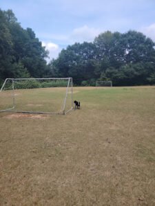 Soccer Field image 1