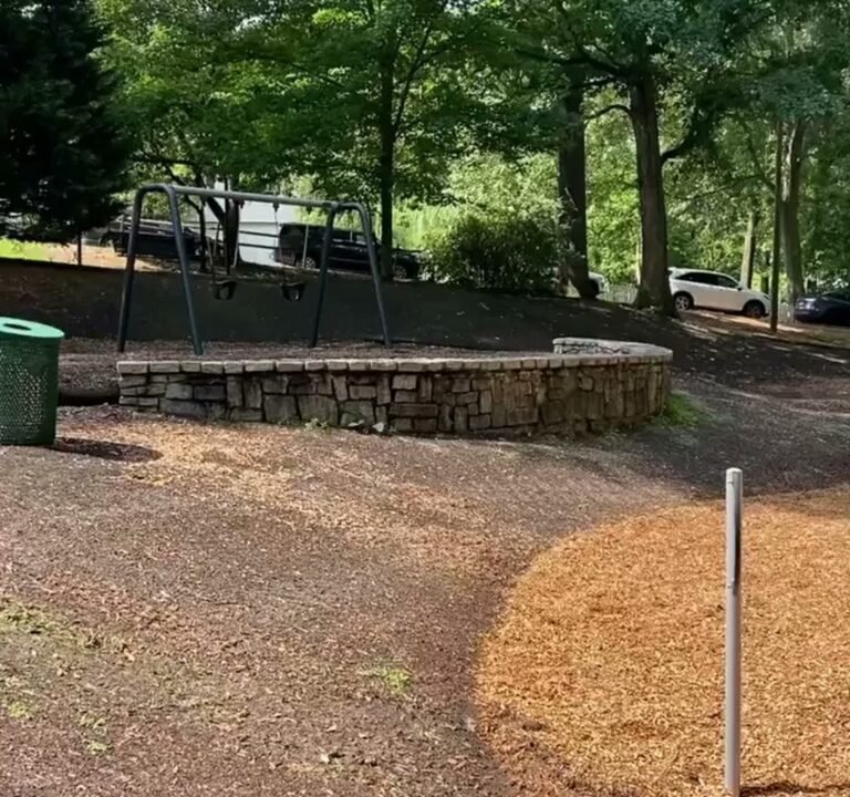 Soccer Field image 3