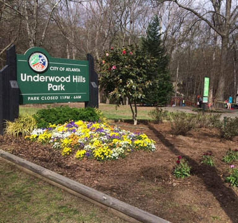 Soccer Field image 2